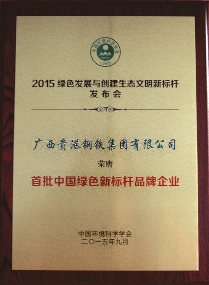 19.2015年度首批中国绿色新标杆品牌企业.jpg